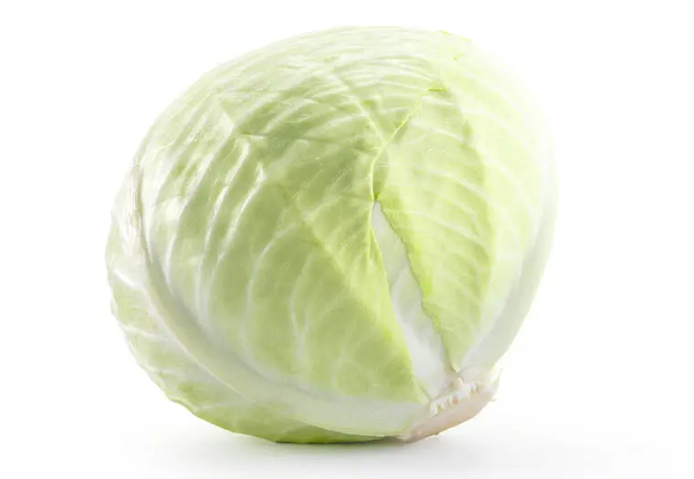 Witte kool  per stuk 