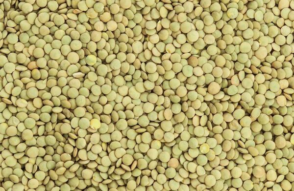 Groene Linzen  Grof    zak 800gr  AKSIYON
