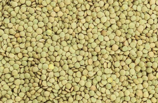 [SRHT-11685] Groene Linzen  Grof    zak 900gr