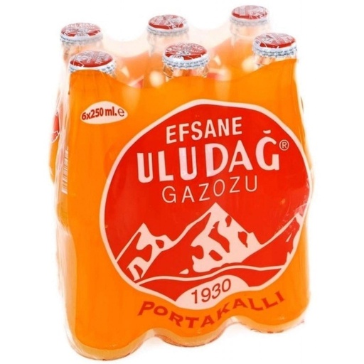 [TMZ-AYT-9999] Gazoz Sinaasappel   tray 24x250ml   ULUDAG